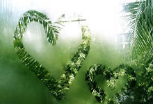 捷克连胜达到三场，小组第三位置：足球世界杯的惊喜与未来展望