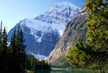 阿曼横扫科特迪瓦，晋级16强资格