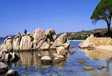 不可思议！马赛主场惊险逆转多特蒙德